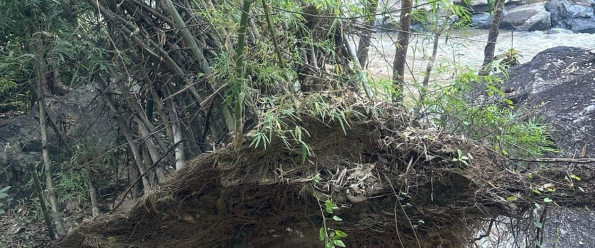 LLM高质量输出激活词汇表