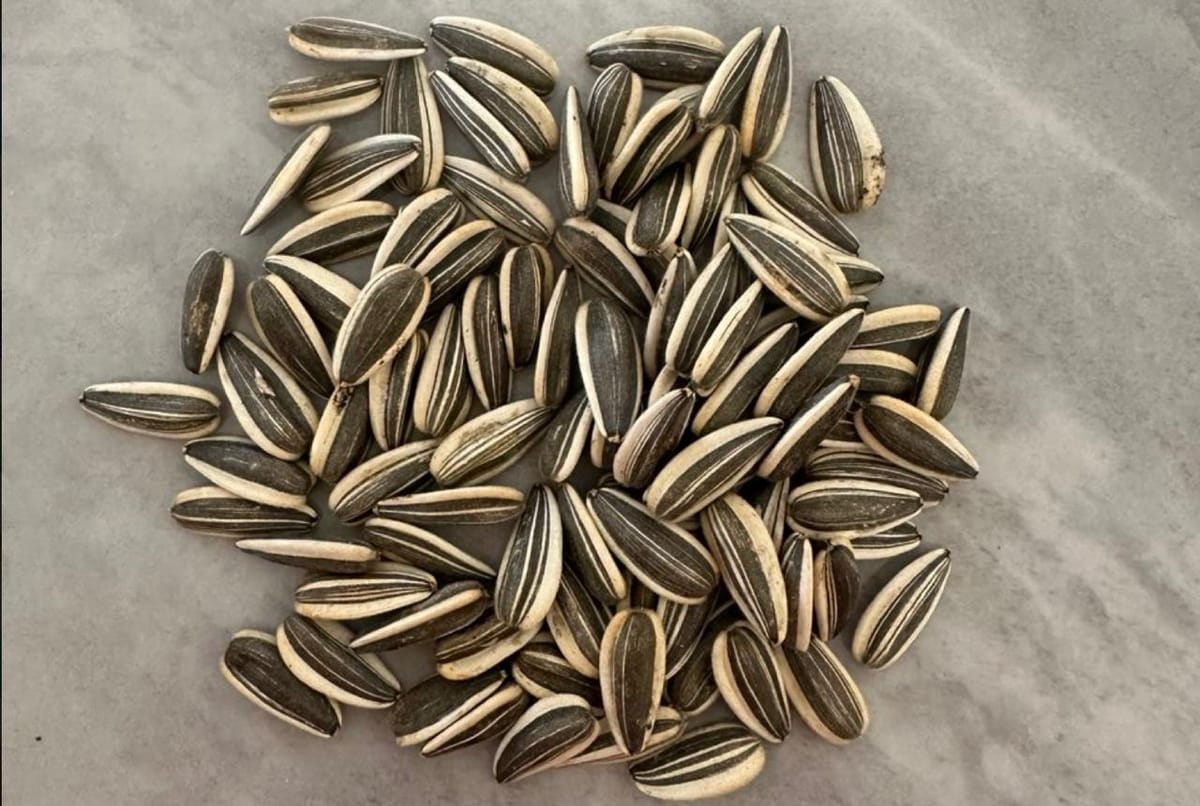 Using Cursor + GitHub MCP to Fix Issues with Just a Number