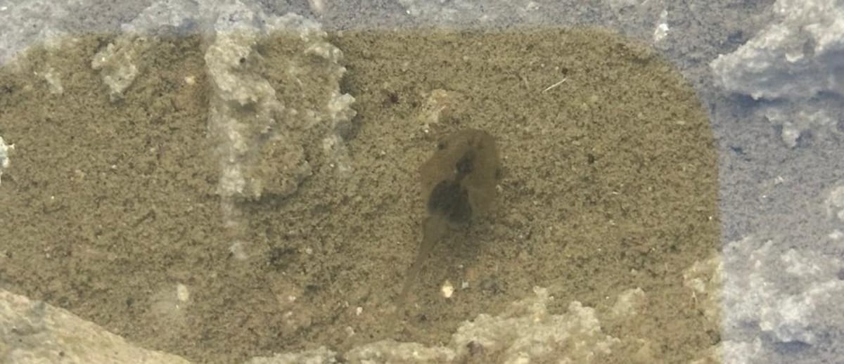 GitLab 诡异问题排查：“Fingerprint has already been taken” 与幽灵 SSH Key