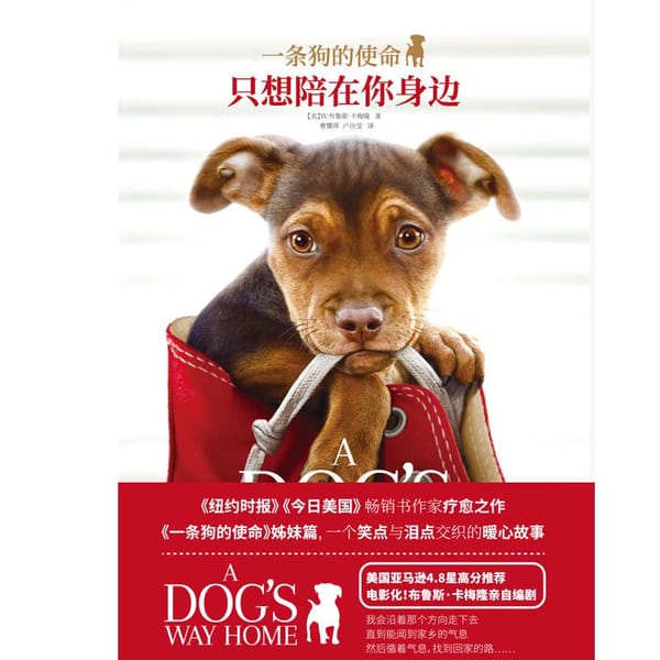 《一条狗的使命》深度阅读指南