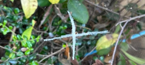 Git Clone 太慢？揭秘 git clone 的默认行为与 3 种提速技巧